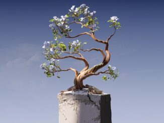 a bonsai tree growing out of a concrete block