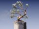 a bonsai tree growing out of a concrete block